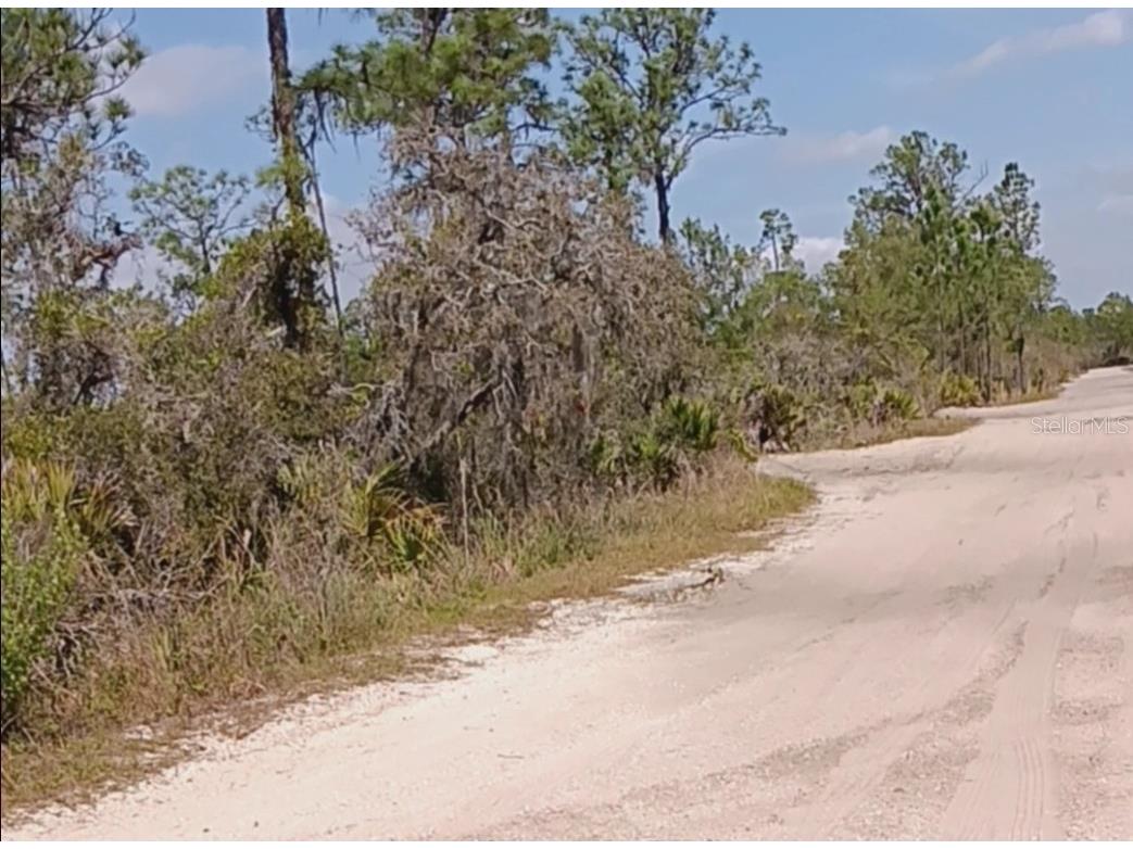 5525 Olive Road Sebring FL 33875 O6197783 image1
