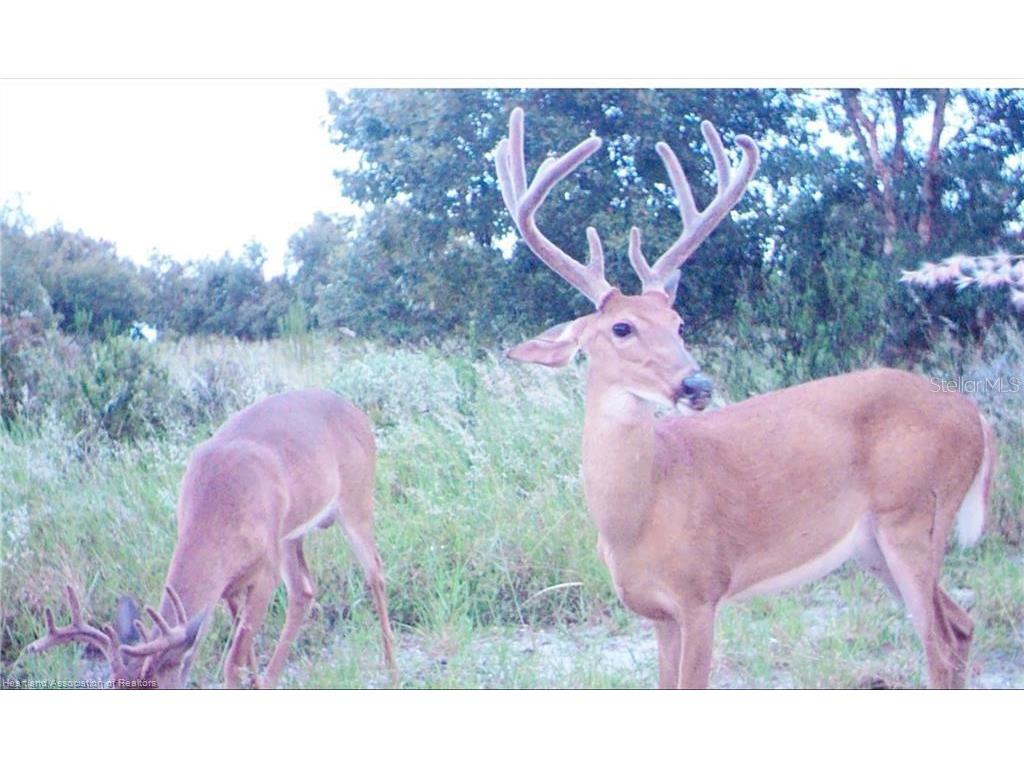5525 Sparta Road #B Sebring FL 33875 - LAKE HUCKLEBERRY L4963248 image11