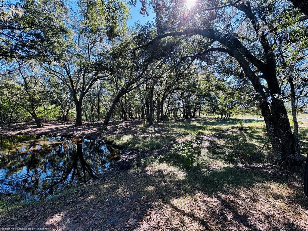 5525 Sparta Road #B Sebring FL 33875 - LAKE HUCKLEBERRY L4963248 image15