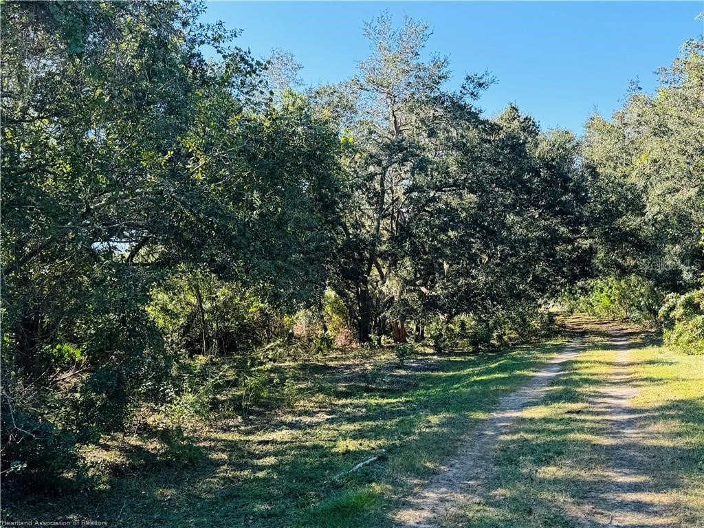 5525 Sparta Road #B Sebring FL 33875 - LAKE HUCKLEBERRY L4963248 image23