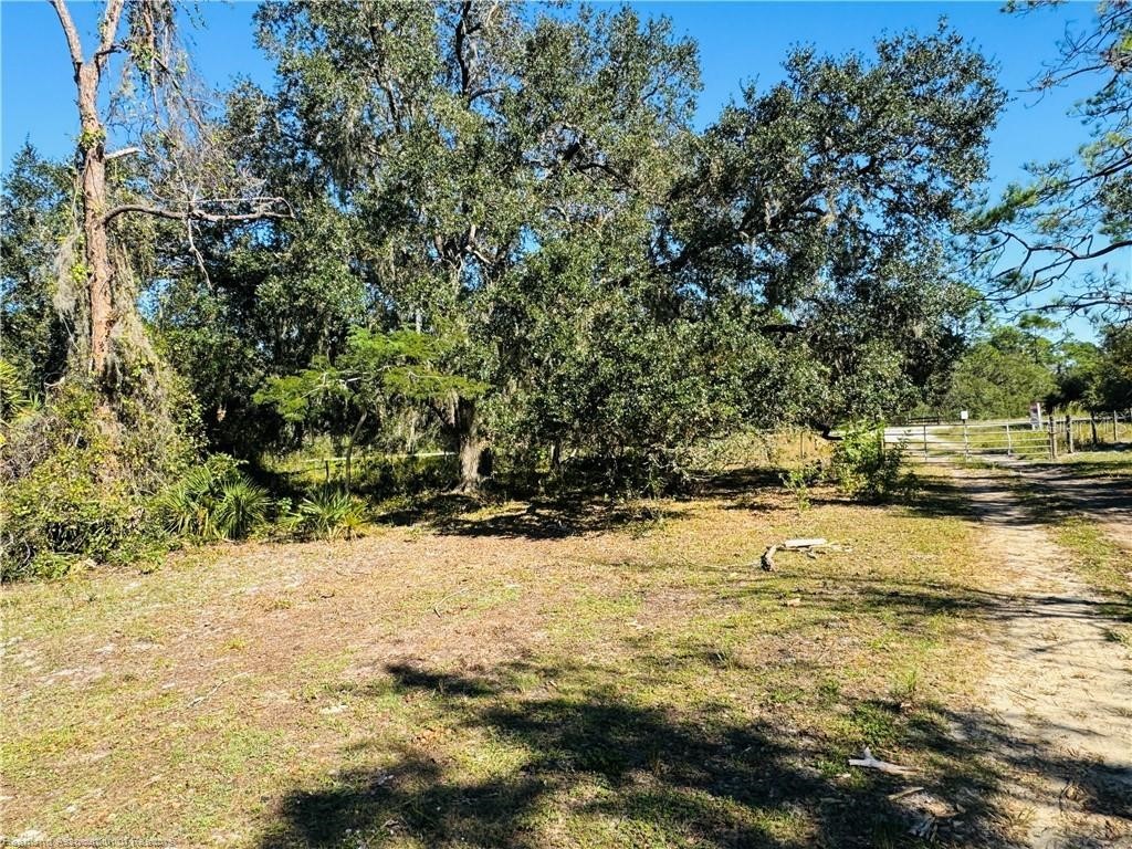 5525 Sparta Road #B Sebring FL 33875 - LAKE HUCKLEBERRY L4963248 image25
