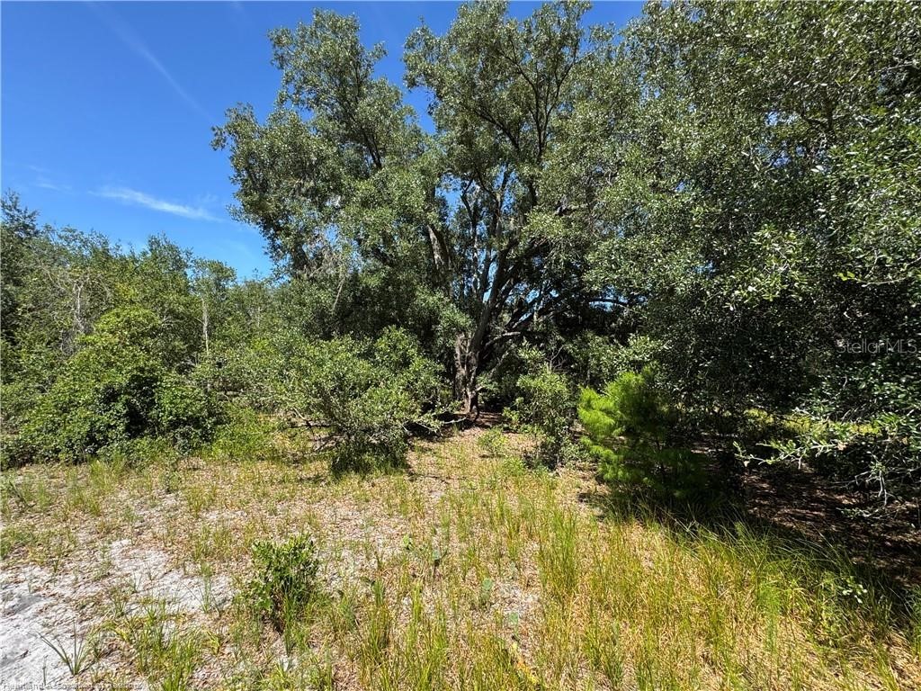 5525 Sparta Road #B Sebring FL 33875 - LAKE HUCKLEBERRY L4963248 image26