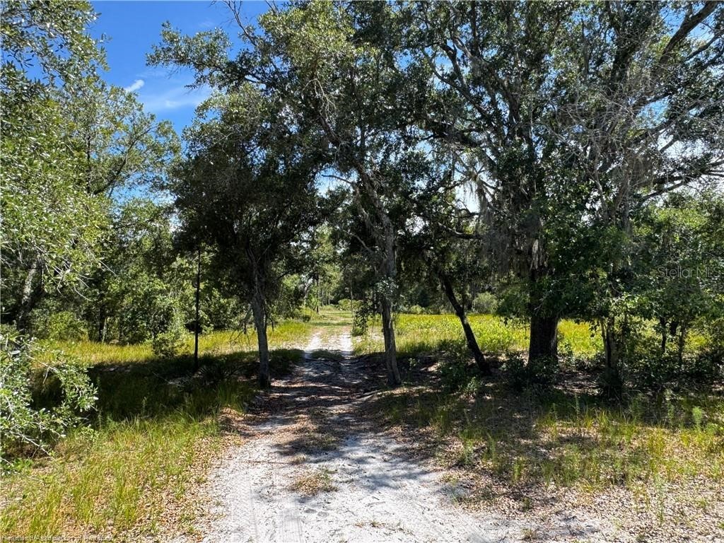 5525 Sparta Road #B Sebring FL 33875 - LAKE HUCKLEBERRY L4963248 image27