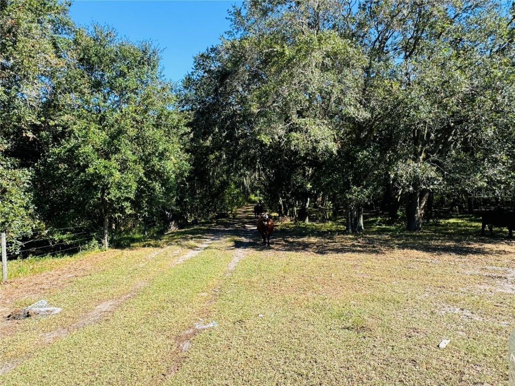 5525 Sparta Road Sebring FL 33875 - LAKE HUCKLEBERRY L4945864 image20