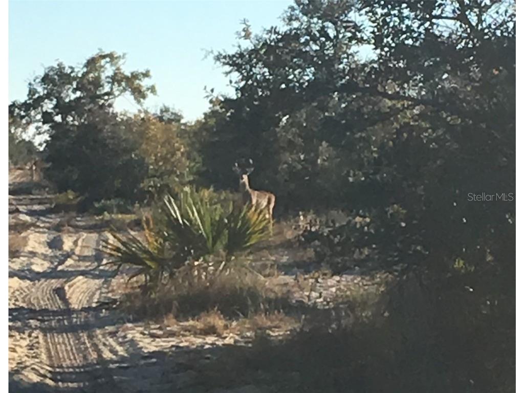 5525 Sparta Road Sebring FL 33875 - LAKE HUCKLEBERRY L4945864 image24