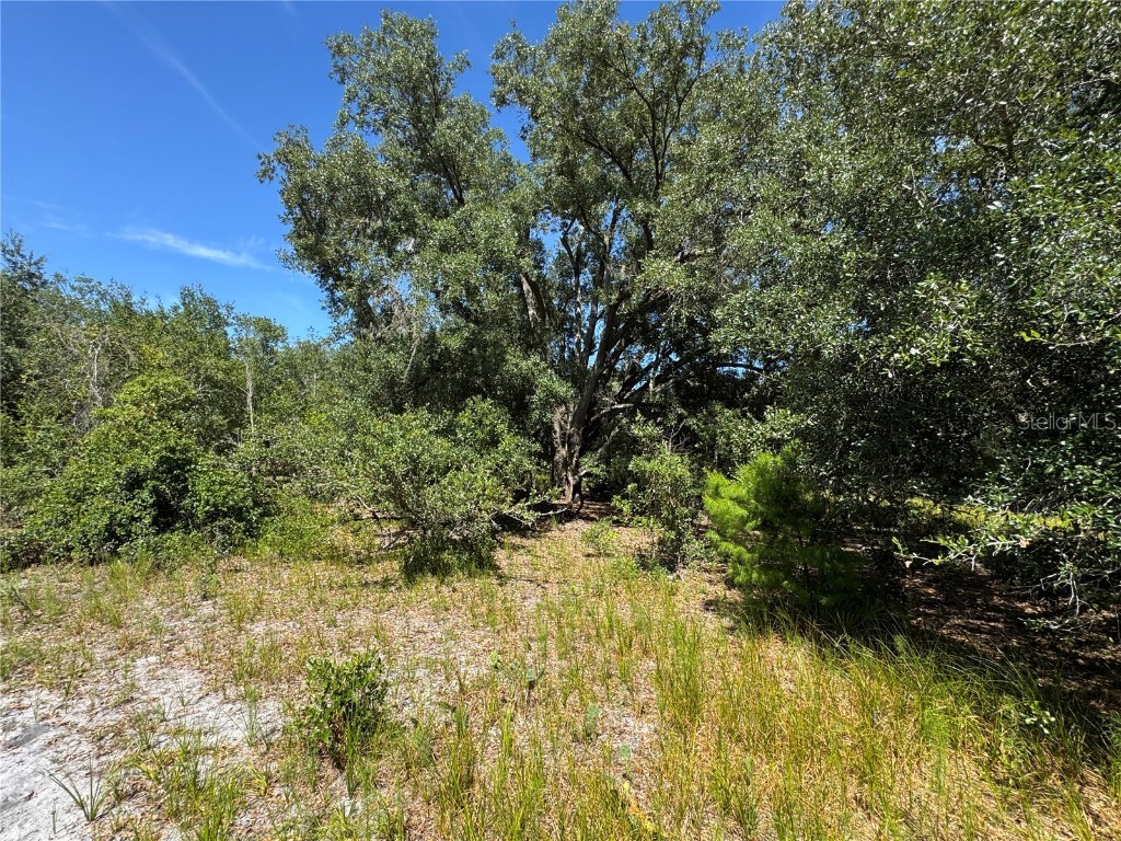 5525 Sparta Road Sebring FL 33875 - LAKE HUCKLEBERRY L4945864 image28