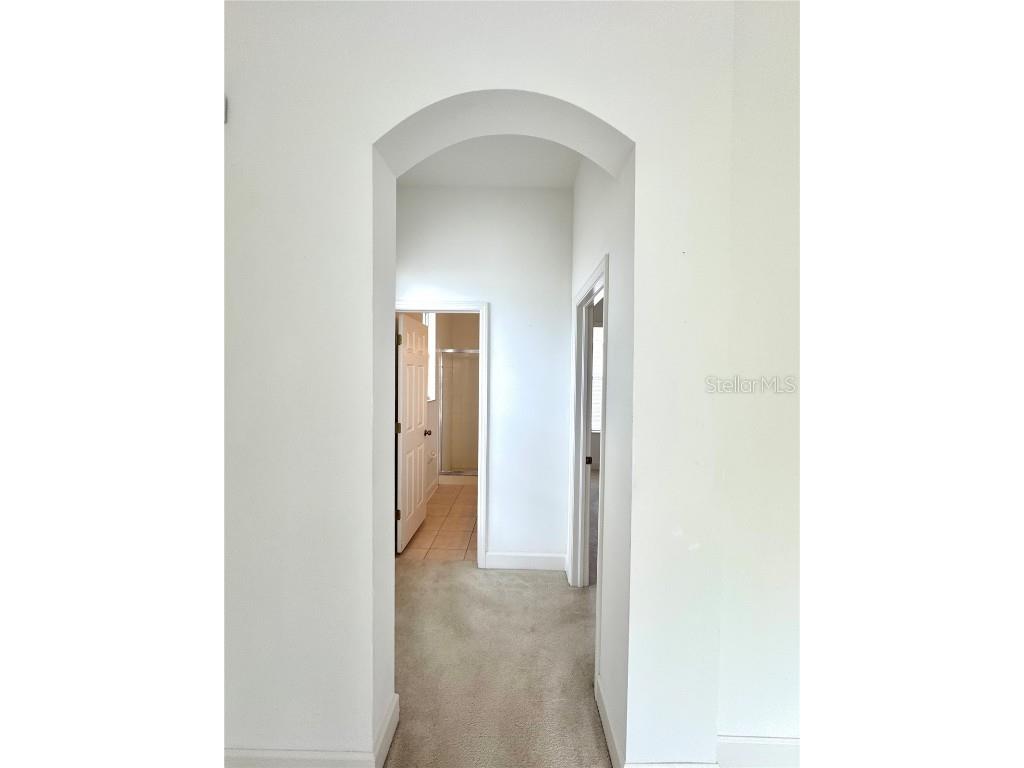 5525 Thorngrove Way Spring Hill FL 34609 TB8367078 image29