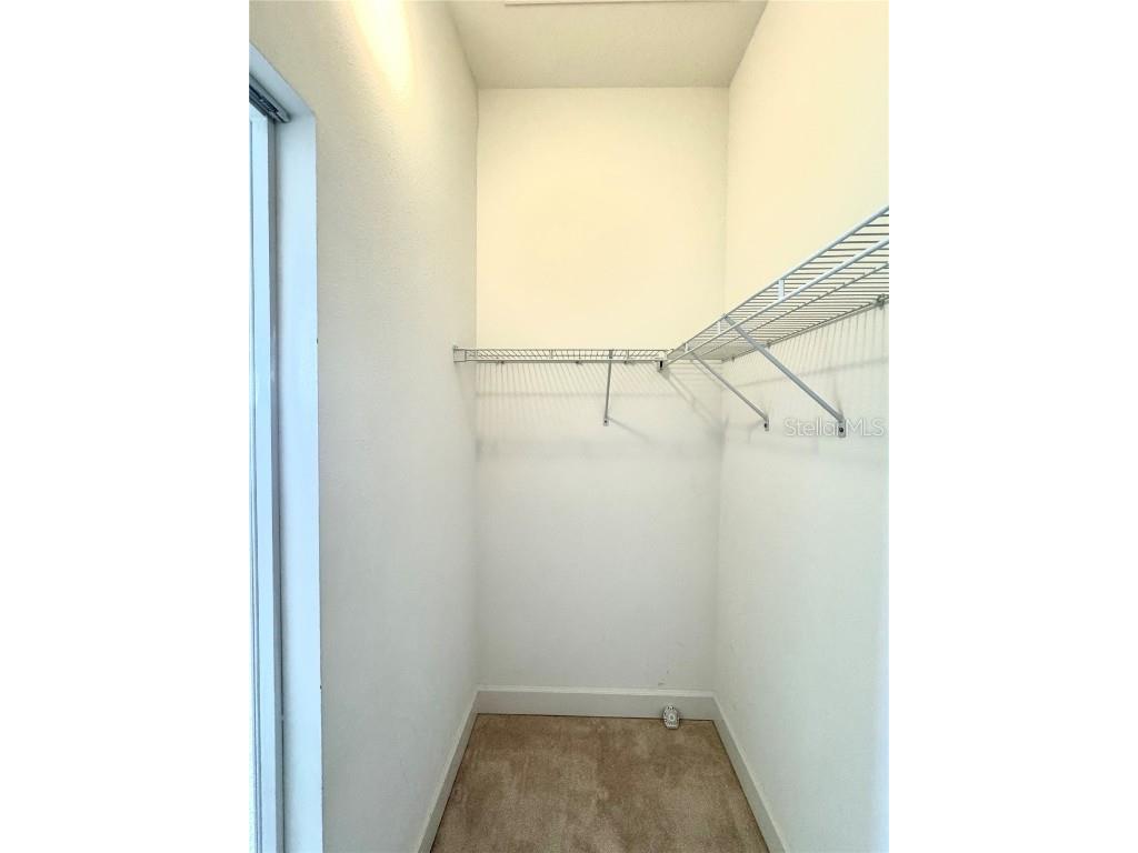 5525 Thorngrove Way Spring Hill FL 34609 TB8367078 image45