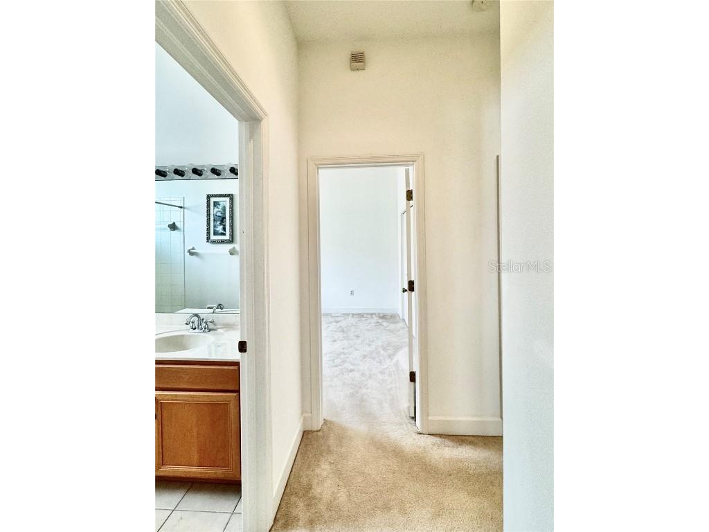 5525 Thorngrove Way Spring Hill FL 34609 TB8367078 image49