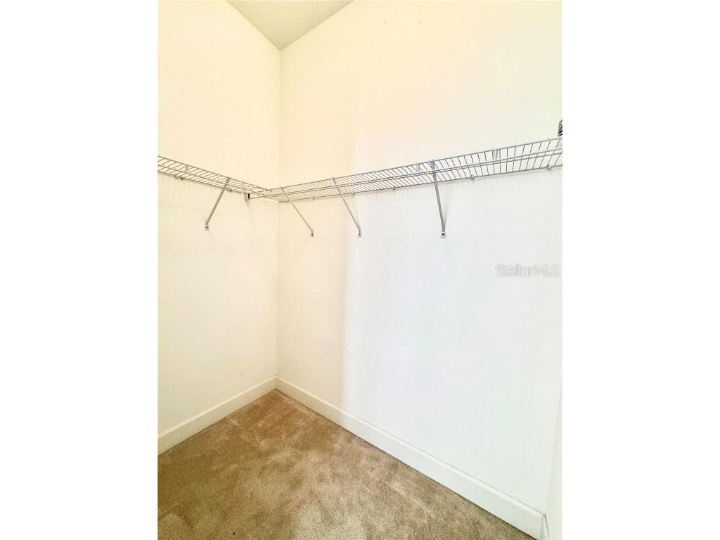 5525 Thorngrove Way Spring Hill FL 34609 TB8367078 image50