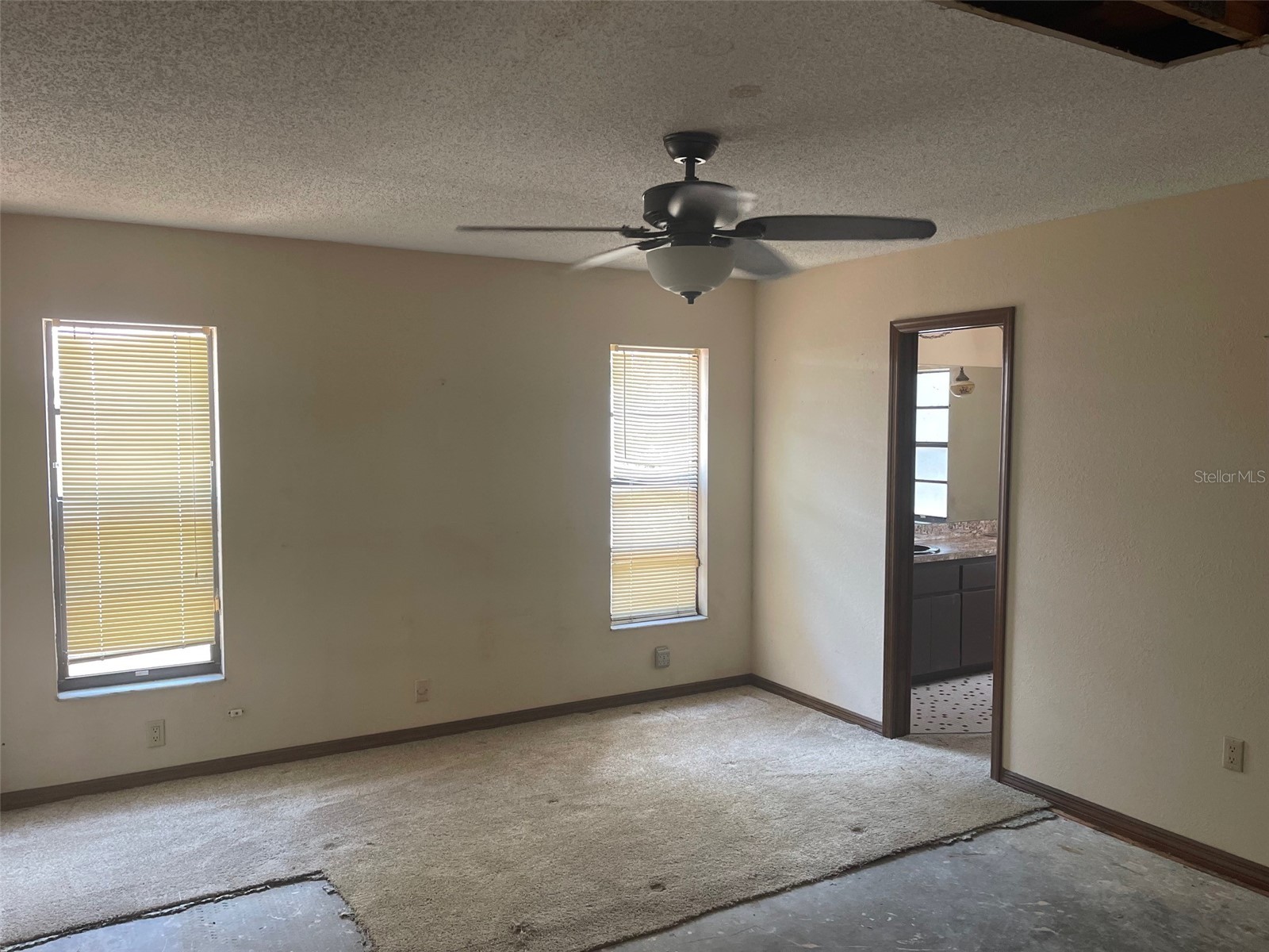 5526 Cactus Circle Spring Hill FL 34606 TB8499264 image11