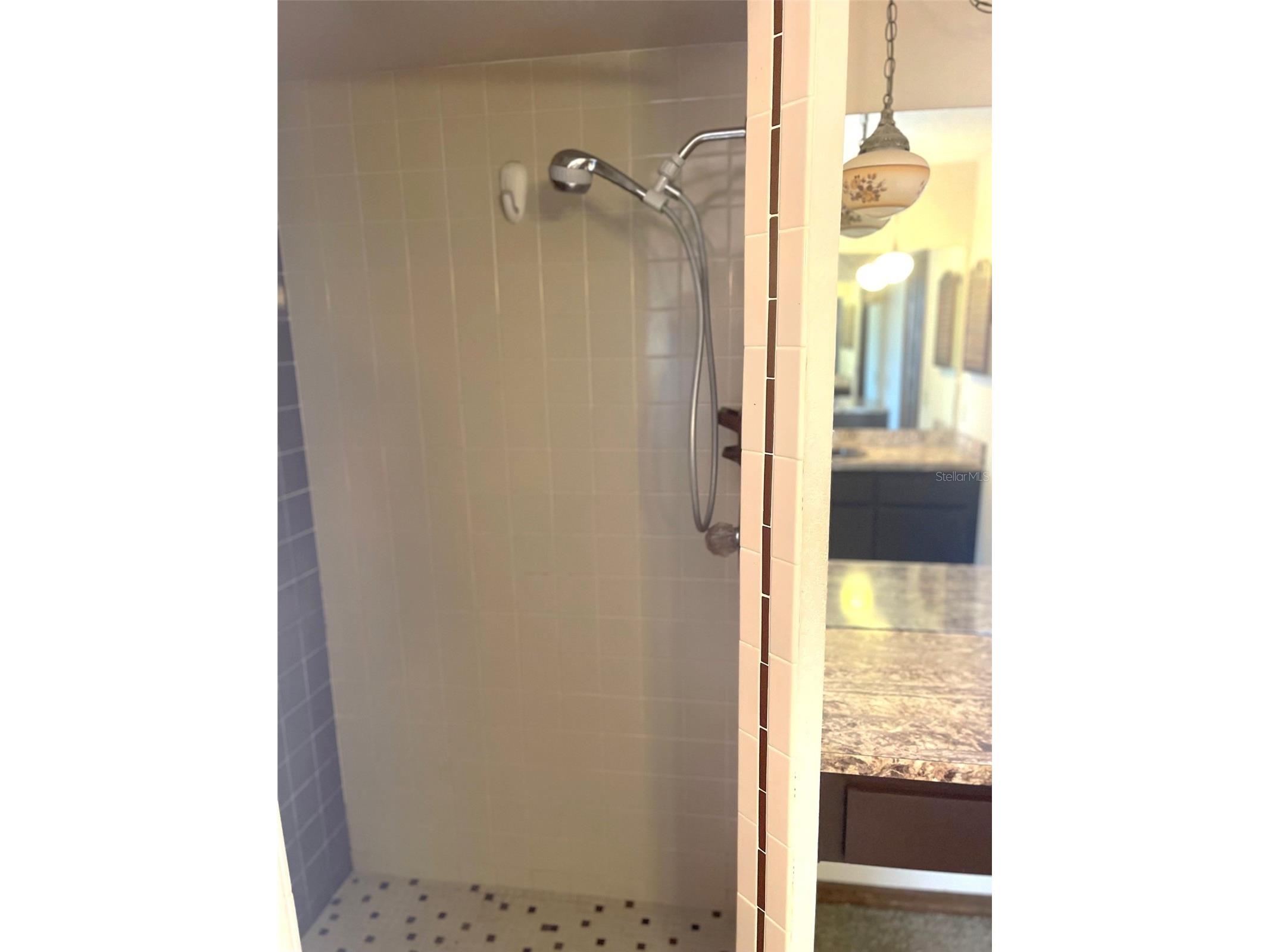 5526 Cactus Circle Spring Hill FL 34606 TB8499264 image15