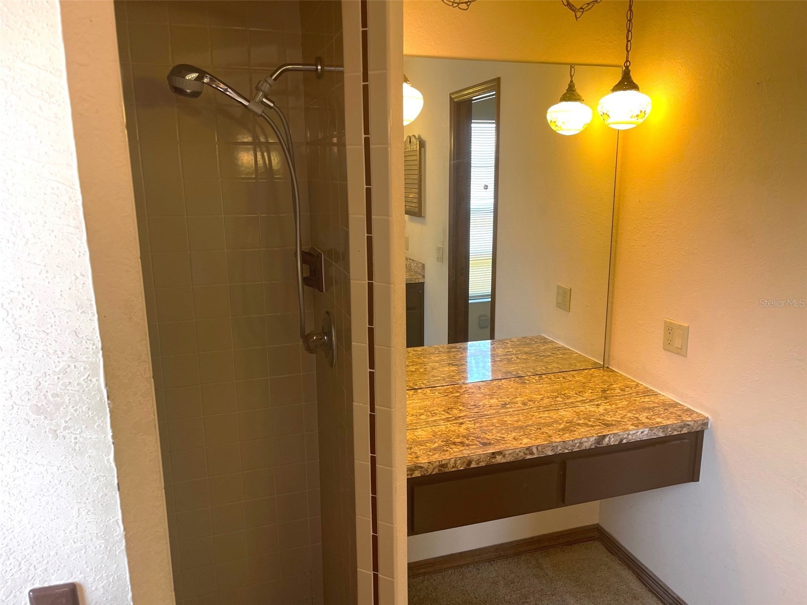 5526 Cactus Circle Spring Hill FL 34606 TB8499264 image16