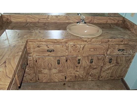 5526 Cactus Circle Spring Hill FL 34606 TB8499264 image19