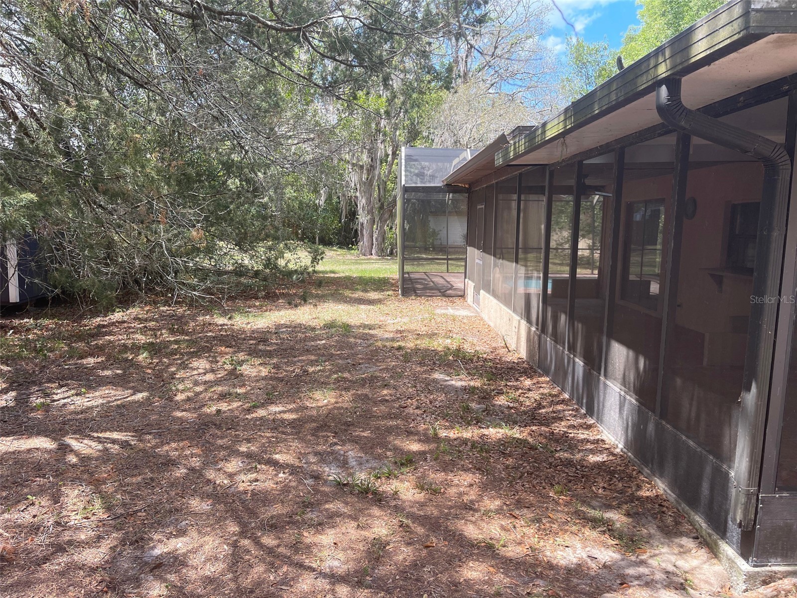 5526 Cactus Circle Spring Hill FL 34606 TB8499264 image4