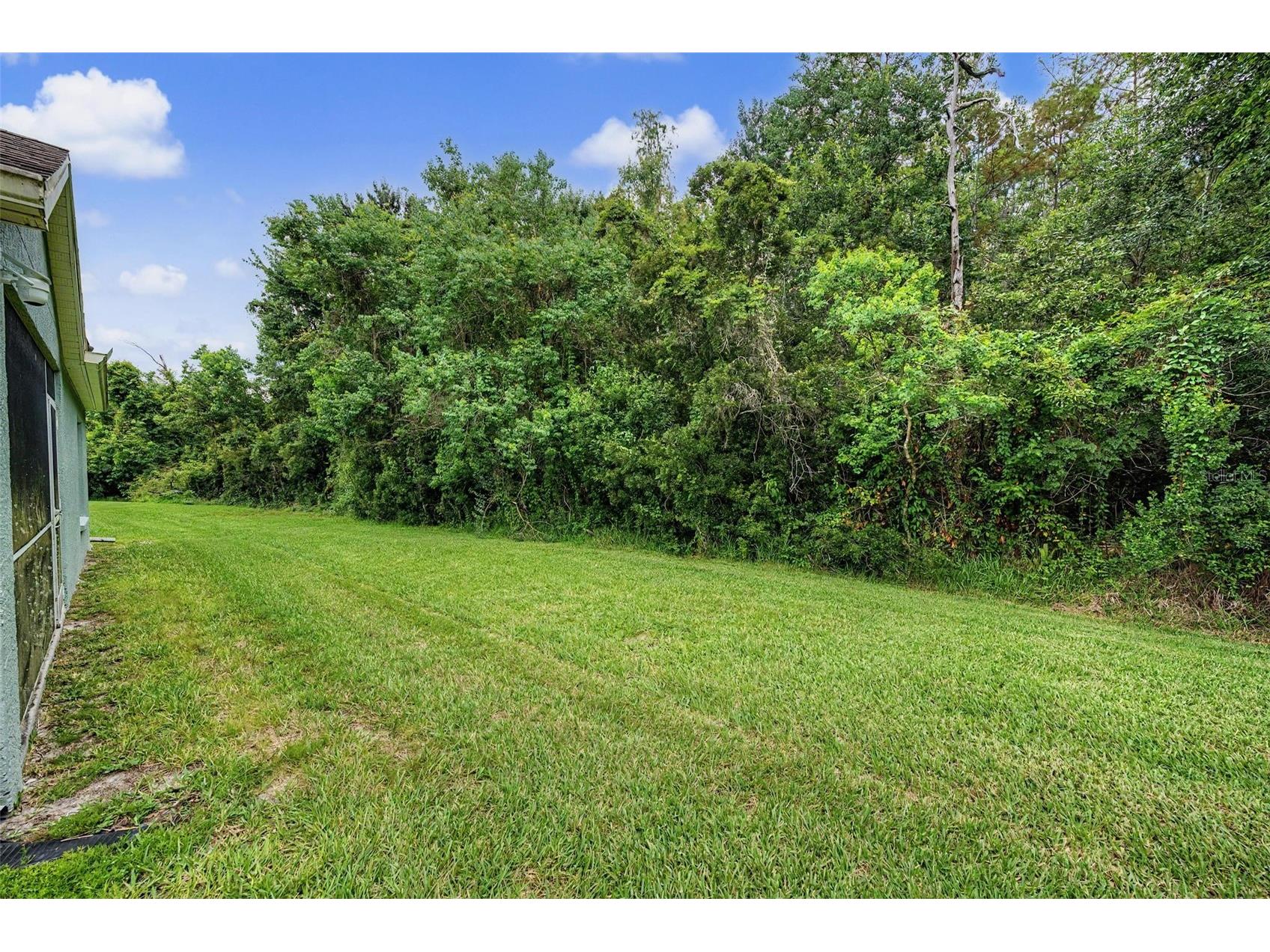 5526 Gallant Fox Court Wesley Chapel FL 33544 TB8519015 image19