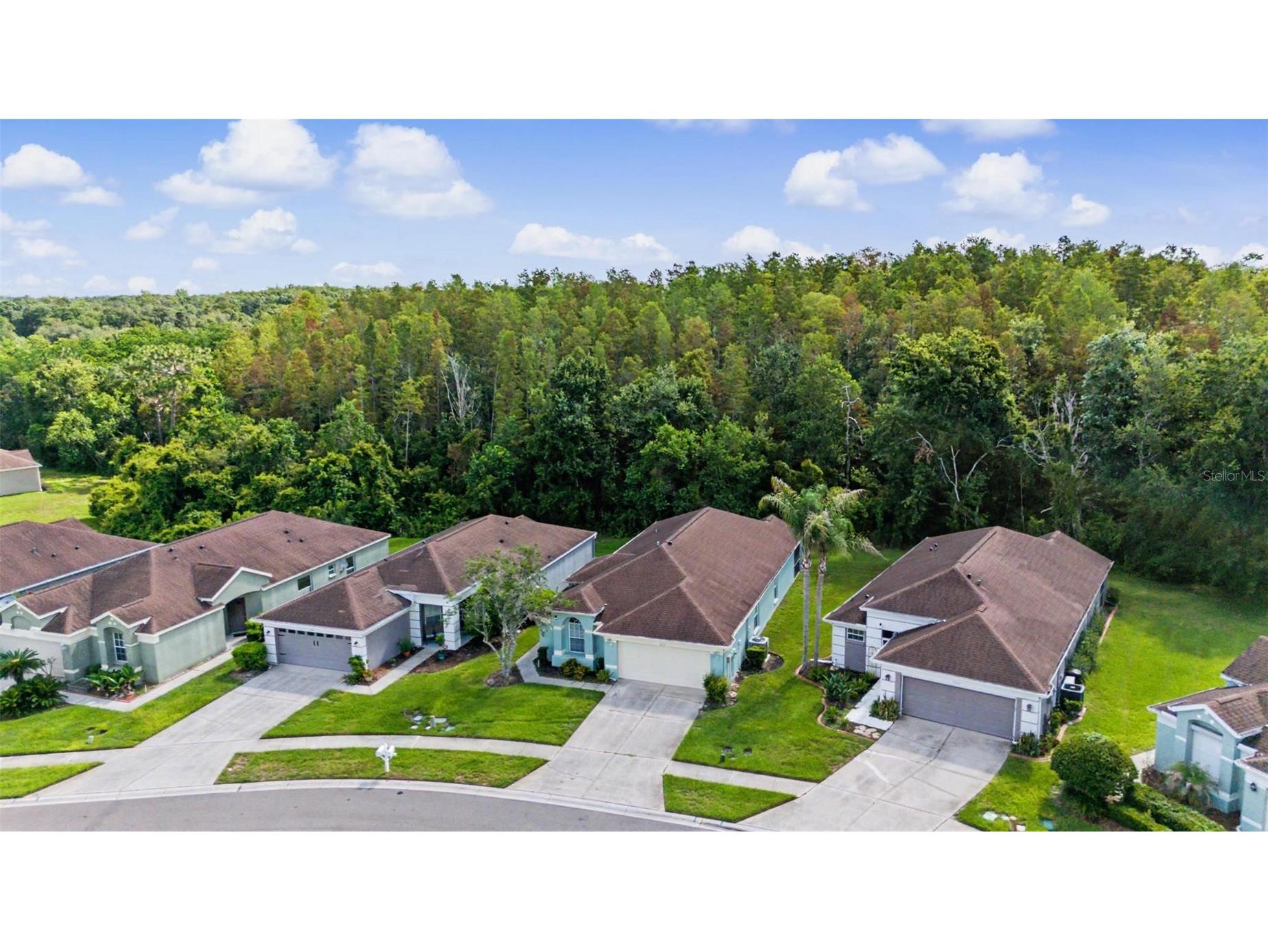 5526 Gallant Fox Court Wesley Chapel FL 33544 TB8519015 image20