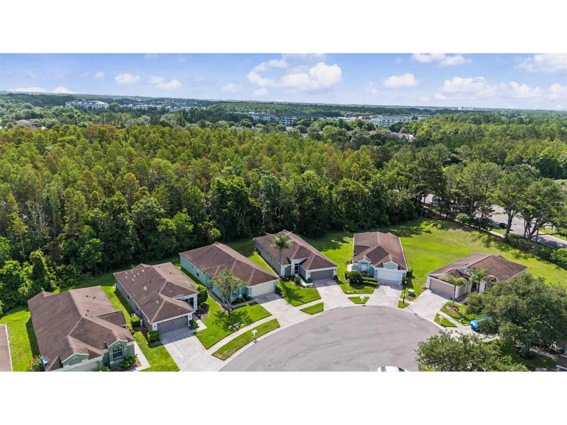 5526 Gallant Fox Court Wesley Chapel FL 33544 TB8519015 image21