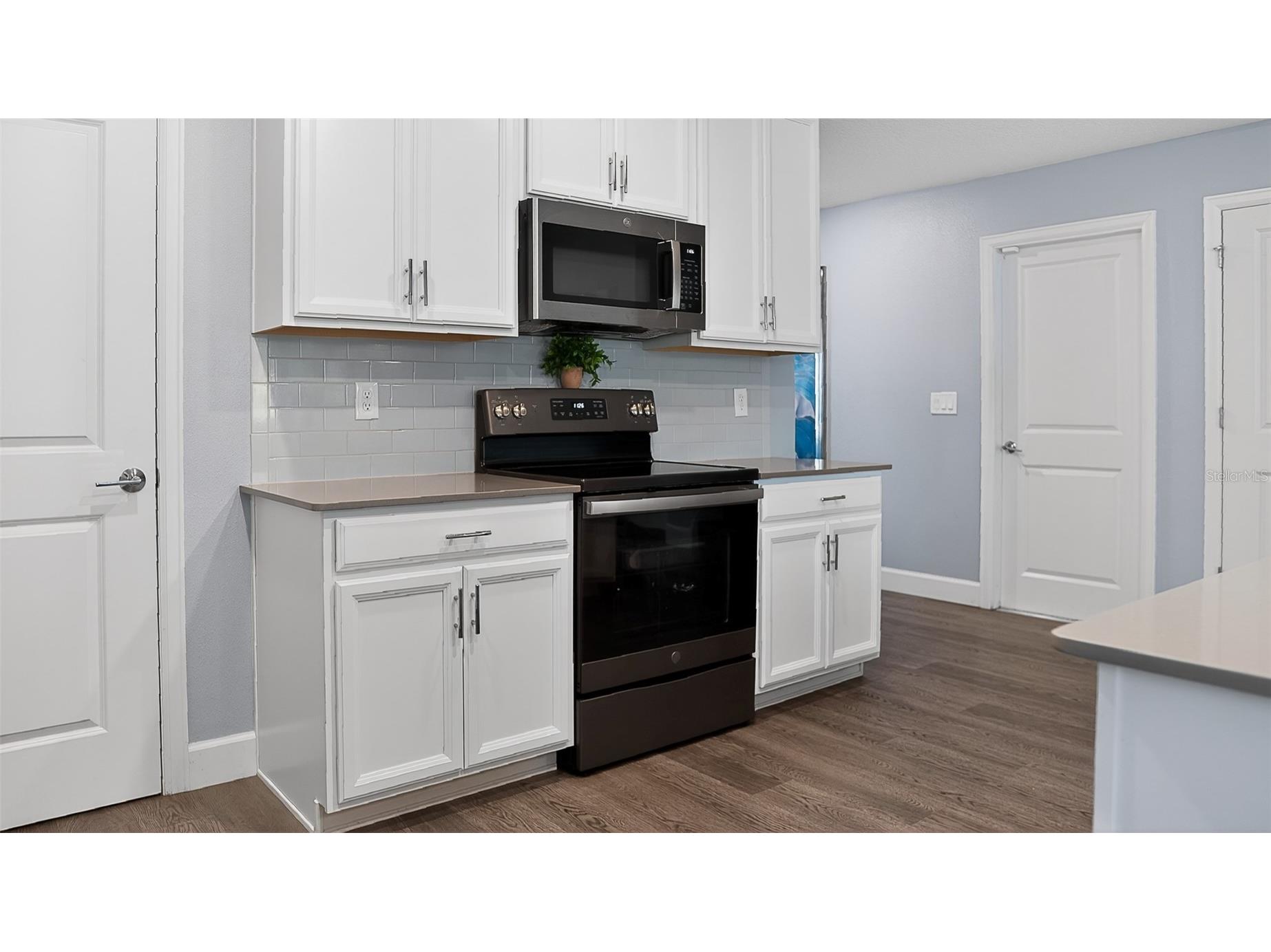 5526 Limestone Street Mount Dora FL 32757 O6401960 image10