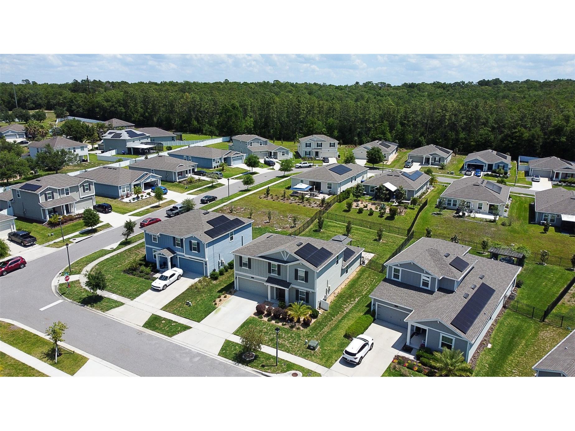 5526 Limestone Street Mount Dora FL 32757 O6401960 image3