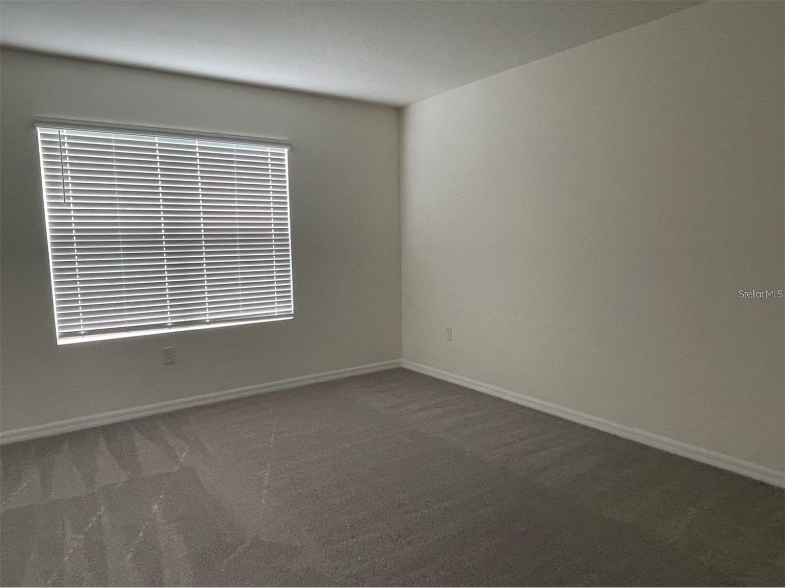 5526 Oxford Gray Road Wesley Chapel FL 33545 TB8514988 image5