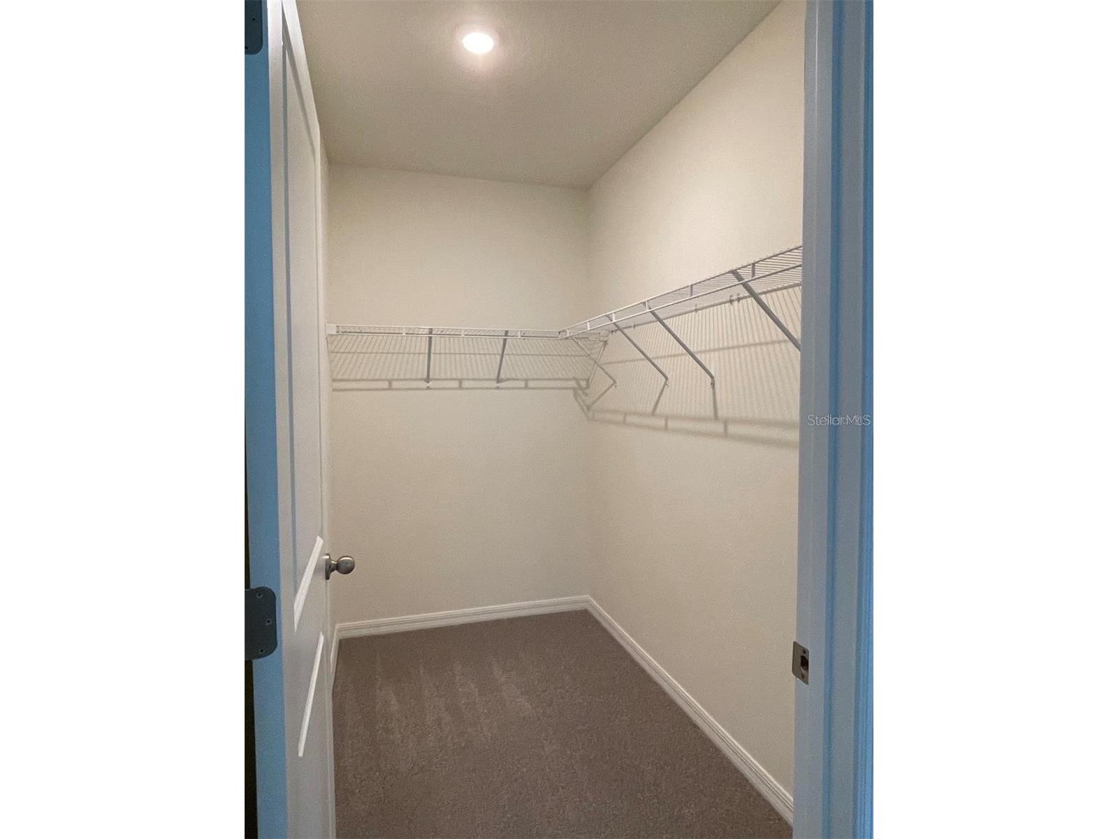 5526 Oxford Gray Road Wesley Chapel FL 33545 TB8514988 image6