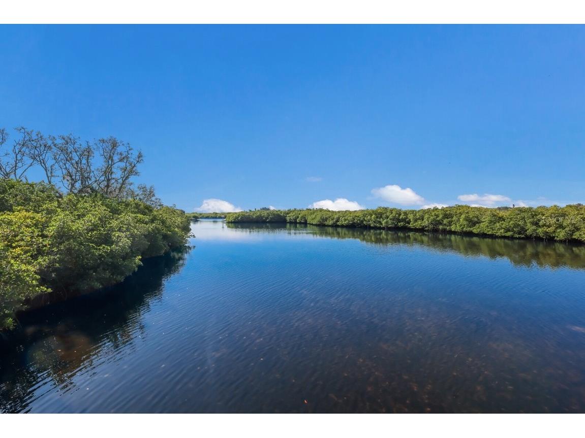 5526 River Sound Terrace Bradenton FL 34208 A4650838 image42