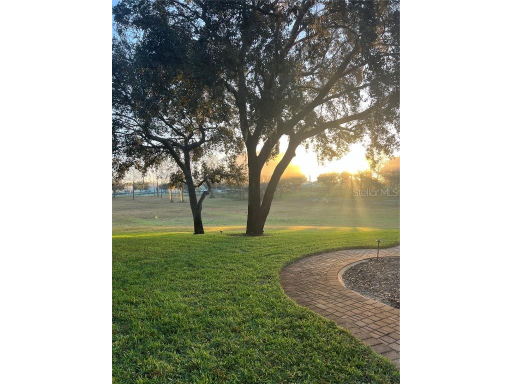 5526 Tiny Road Winter Garden FL 34787 O6334009 image25