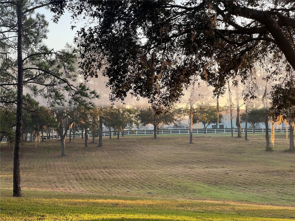 5526 Tiny Road Winter Garden FL 34787 O6334009 image26