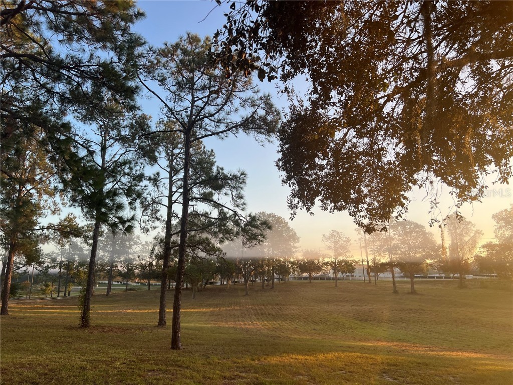 5526 Tiny Road Winter Garden FL 34787 O6334009 image27