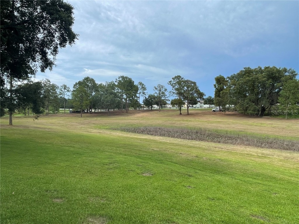 5526 Tiny Road Winter Garden FL 34787 O6334009 image28