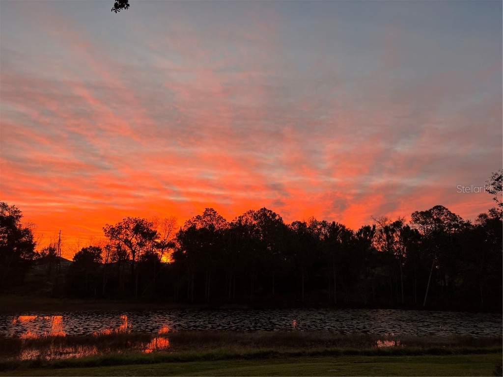 5526 Tiny Road Winter Garden FL 34787 O6334009 image32