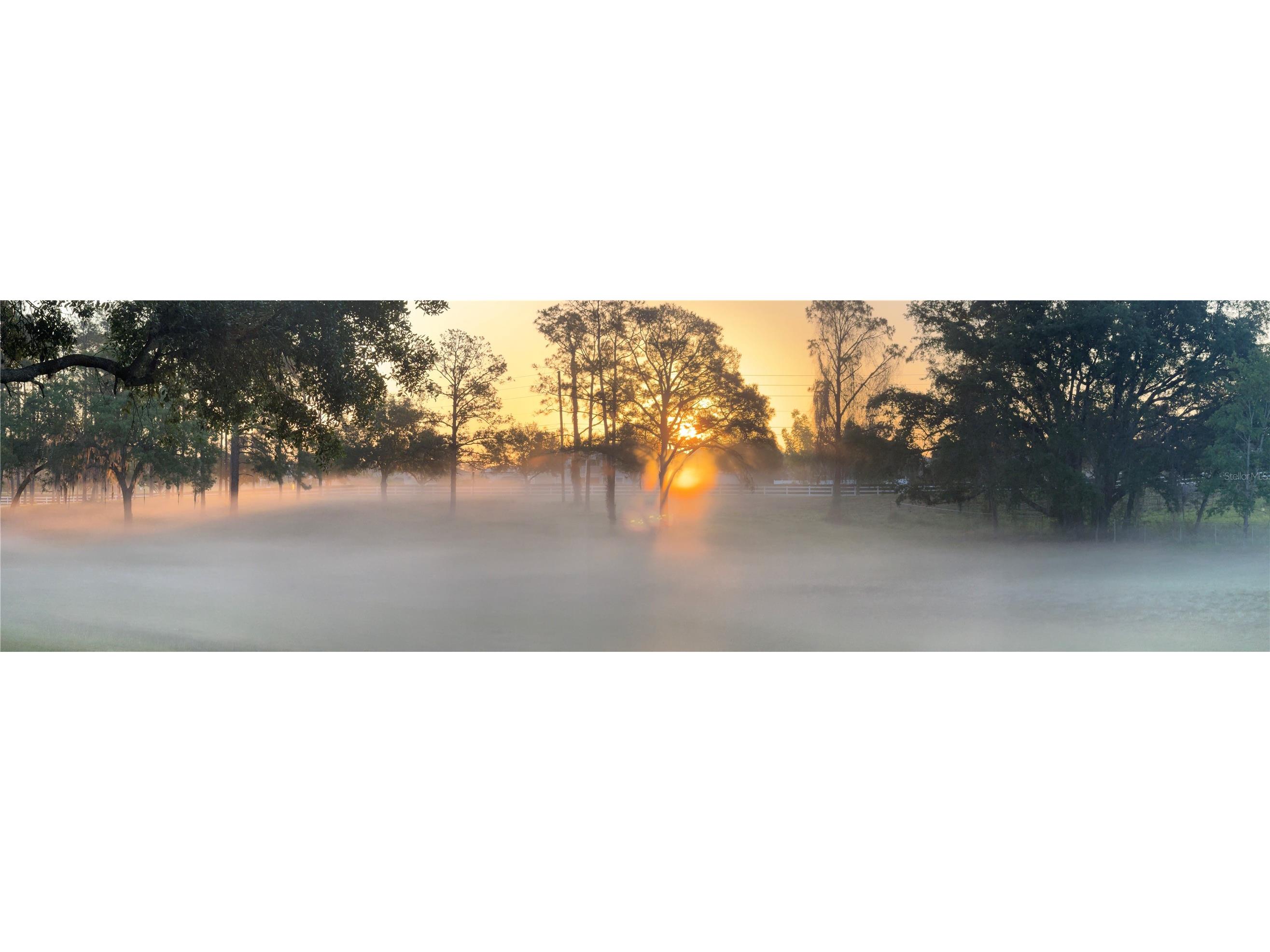 5526 Tiny Road Winter Garden FL 34787 O6334009 image33