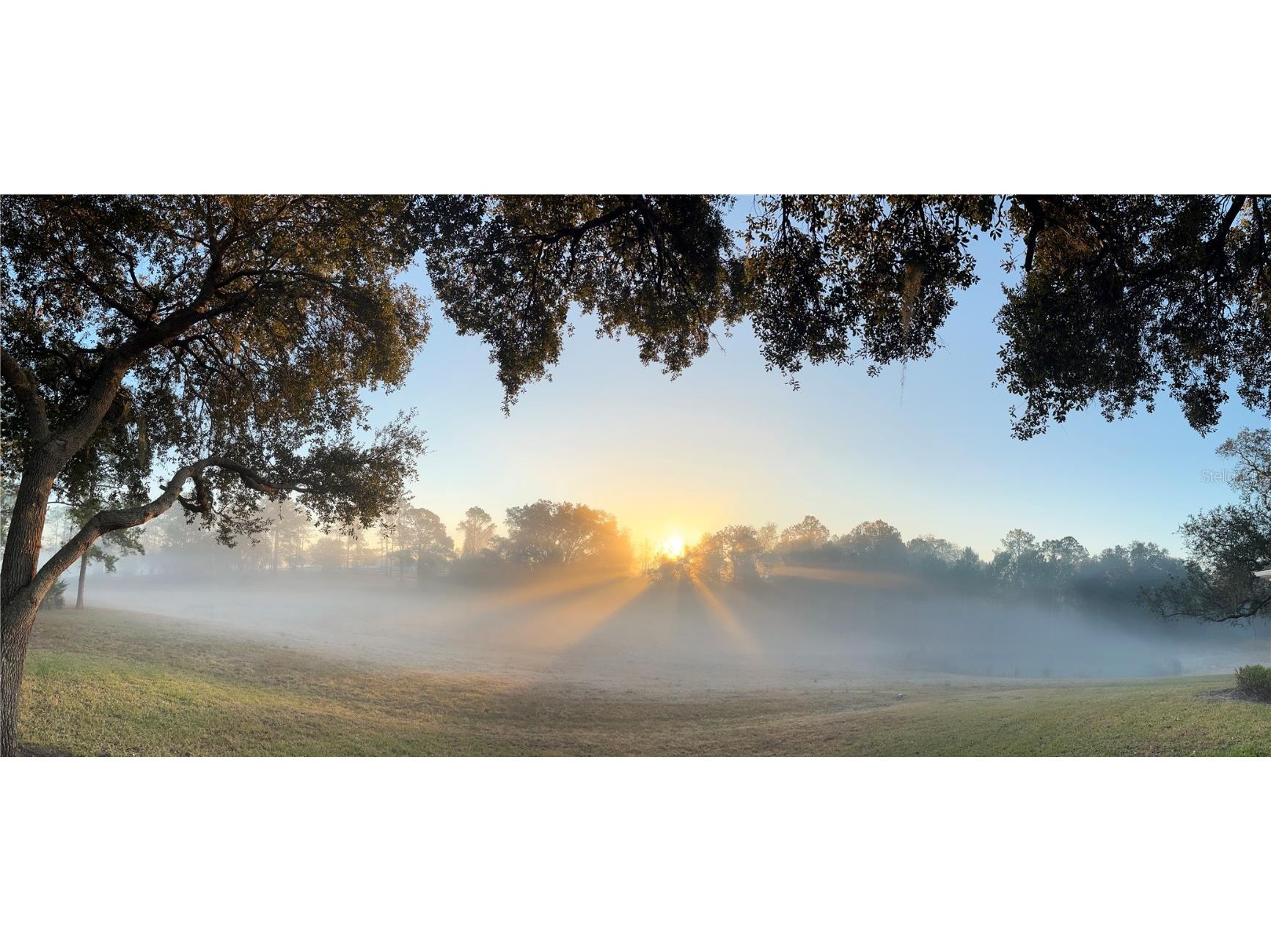 5526 Tiny Road Winter Garden FL 34787 O6334009 image34