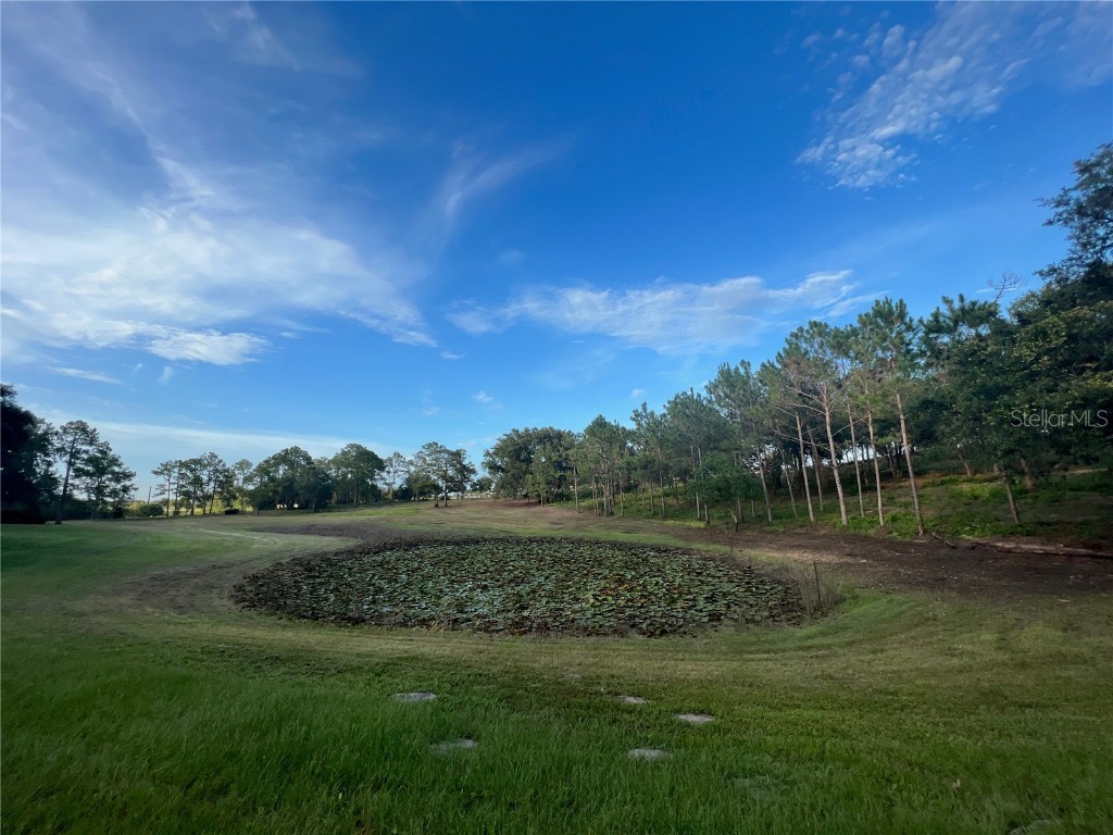 5526 Tiny Road Winter Garden FL 34787 O6334009 image37