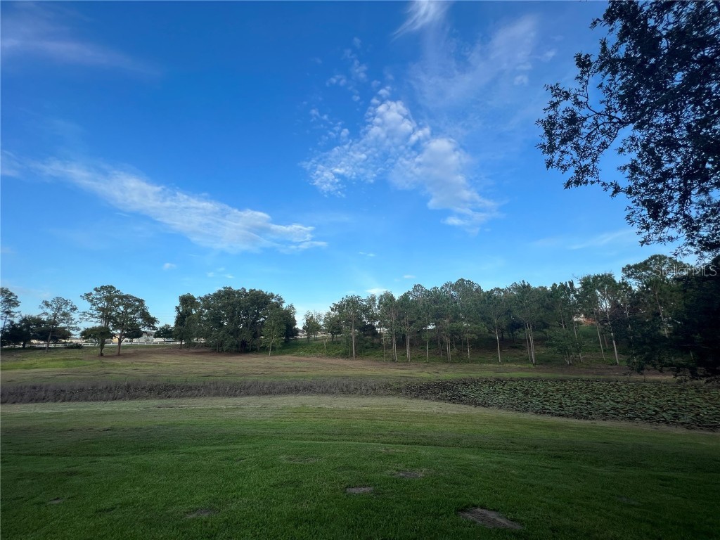 5526 Tiny Road Winter Garden FL 34787 O6334009 image38