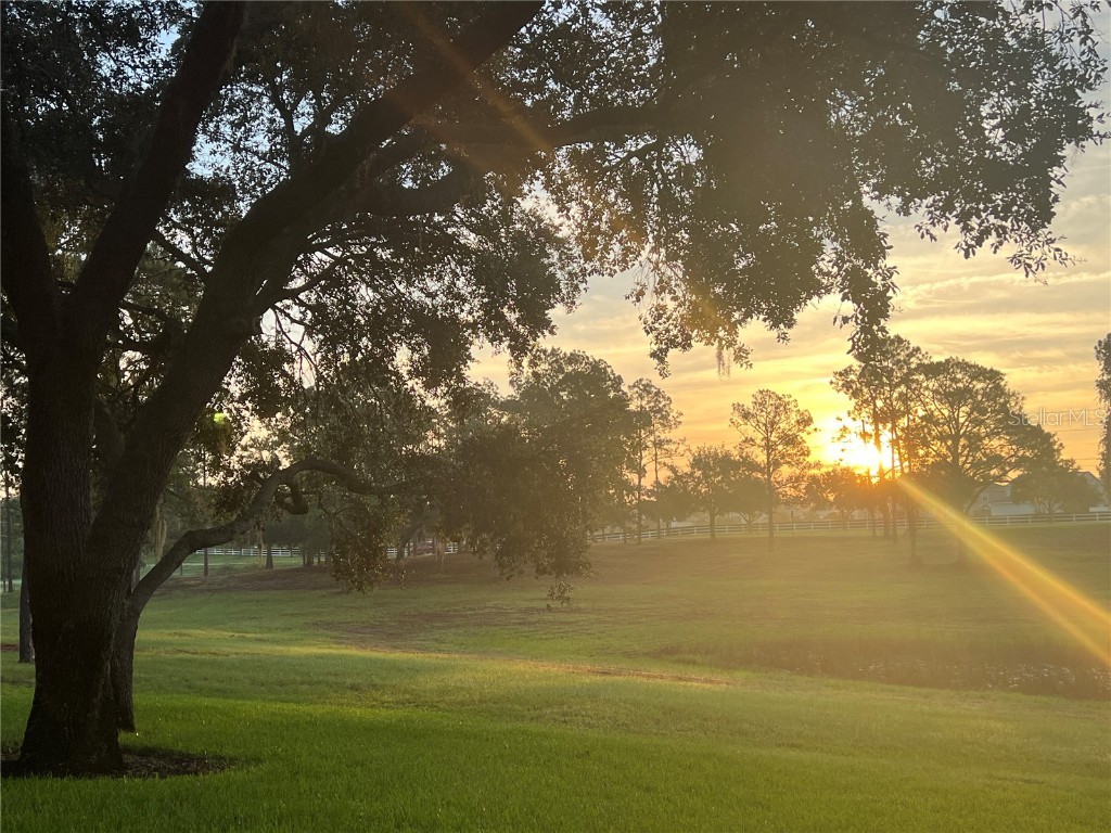 5526 Tiny Road Winter Garden FL 34787 O6334009 image39