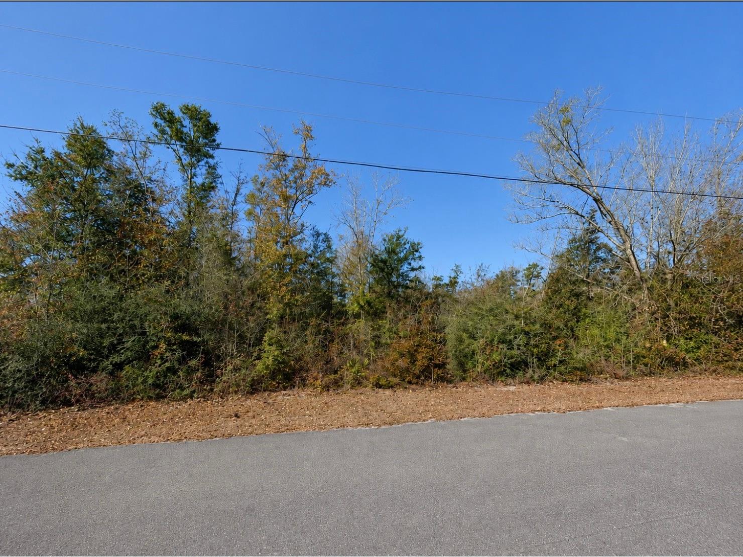 5527 Lakewood Circle Panama City FL 32404 TB8528945 image4