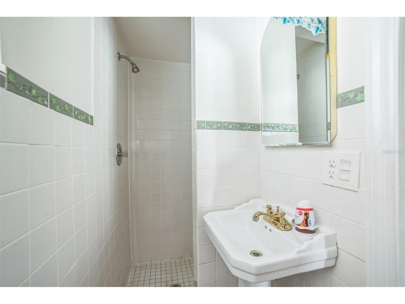 5527 Sandalwood Drive Orlando FL 32839 O6321417 image21