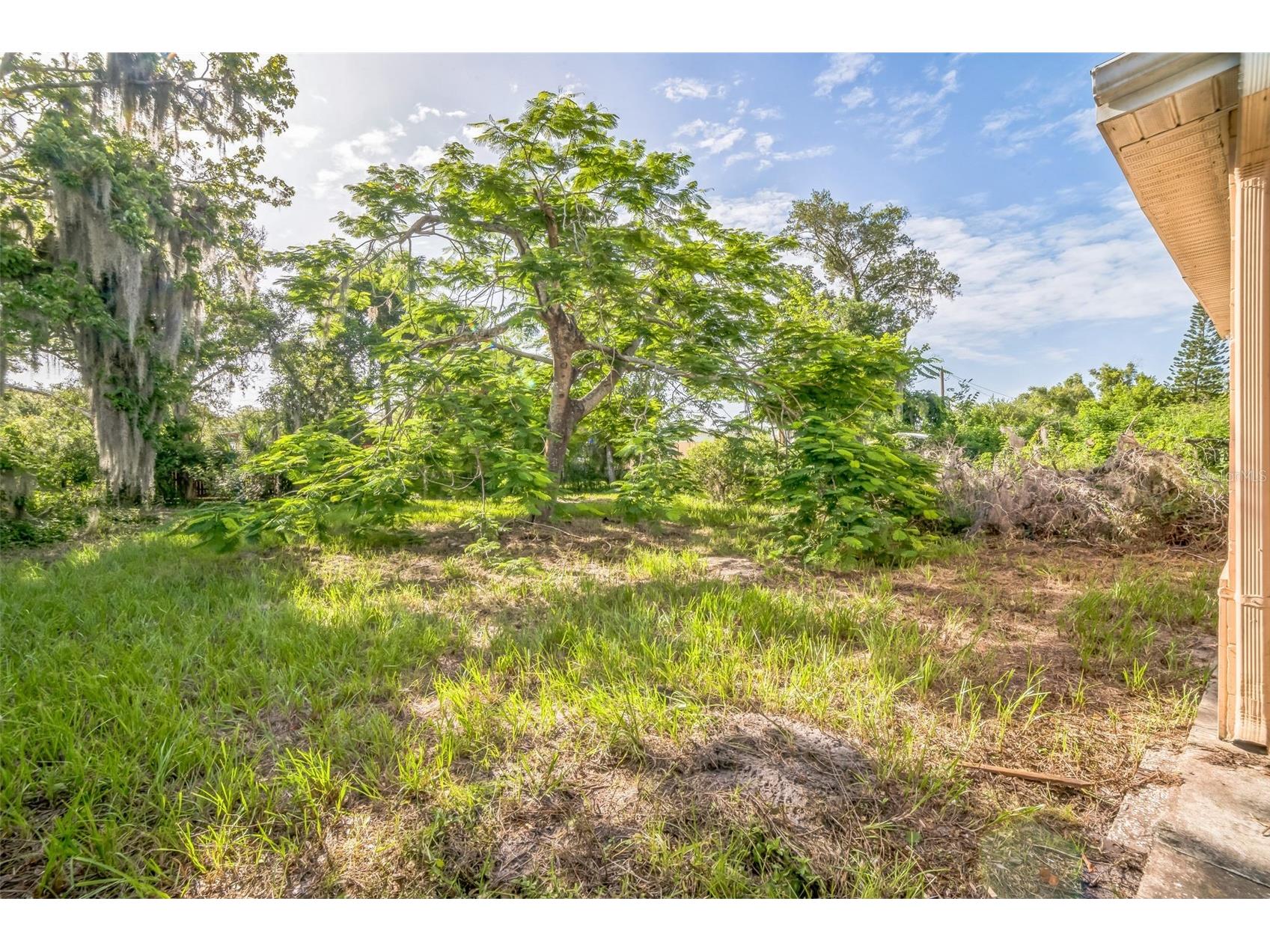 5527 Sandalwood Drive Orlando FL 32839 O6321417 image35