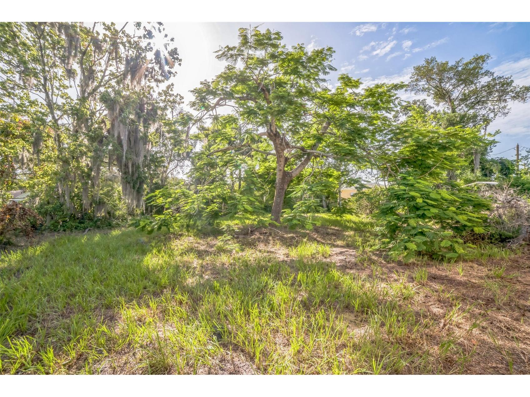 5527 Sandalwood Drive Orlando FL 32839 O6321417 image36