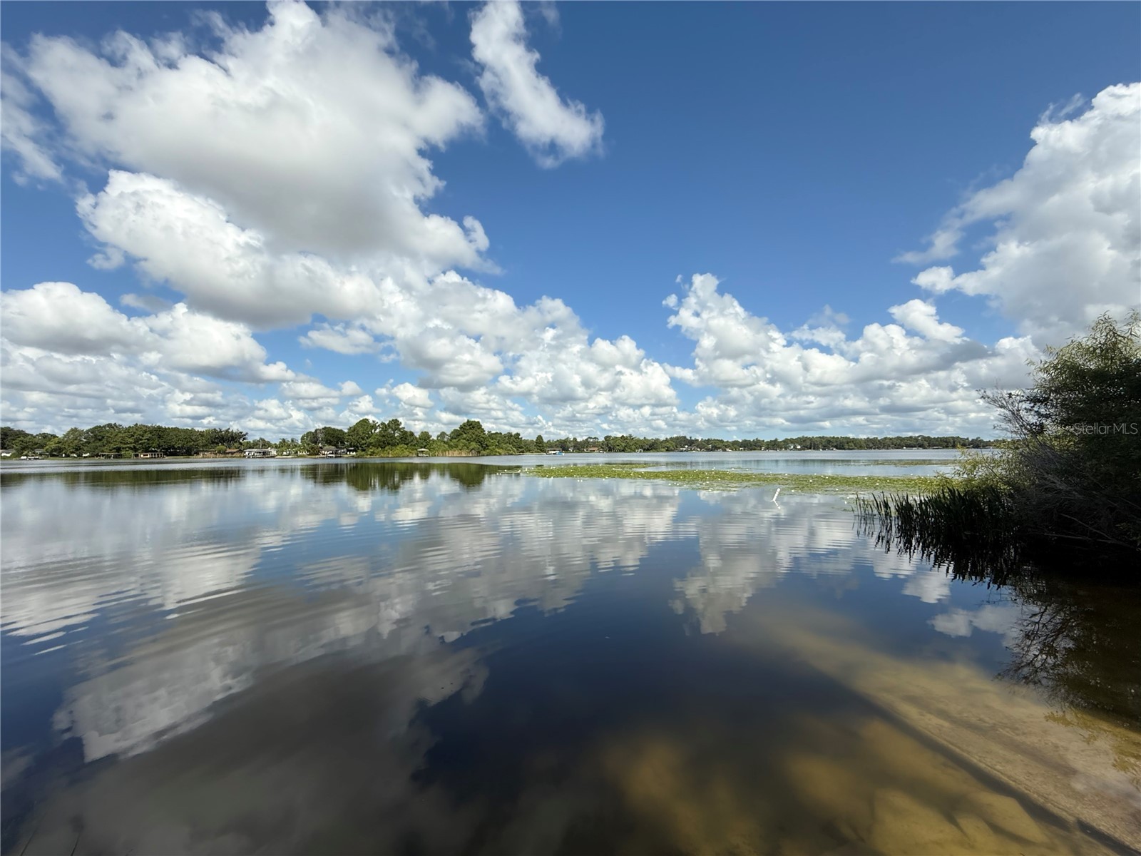 5527 Sandalwood Drive Orlando FL 32839 O6321417 image38