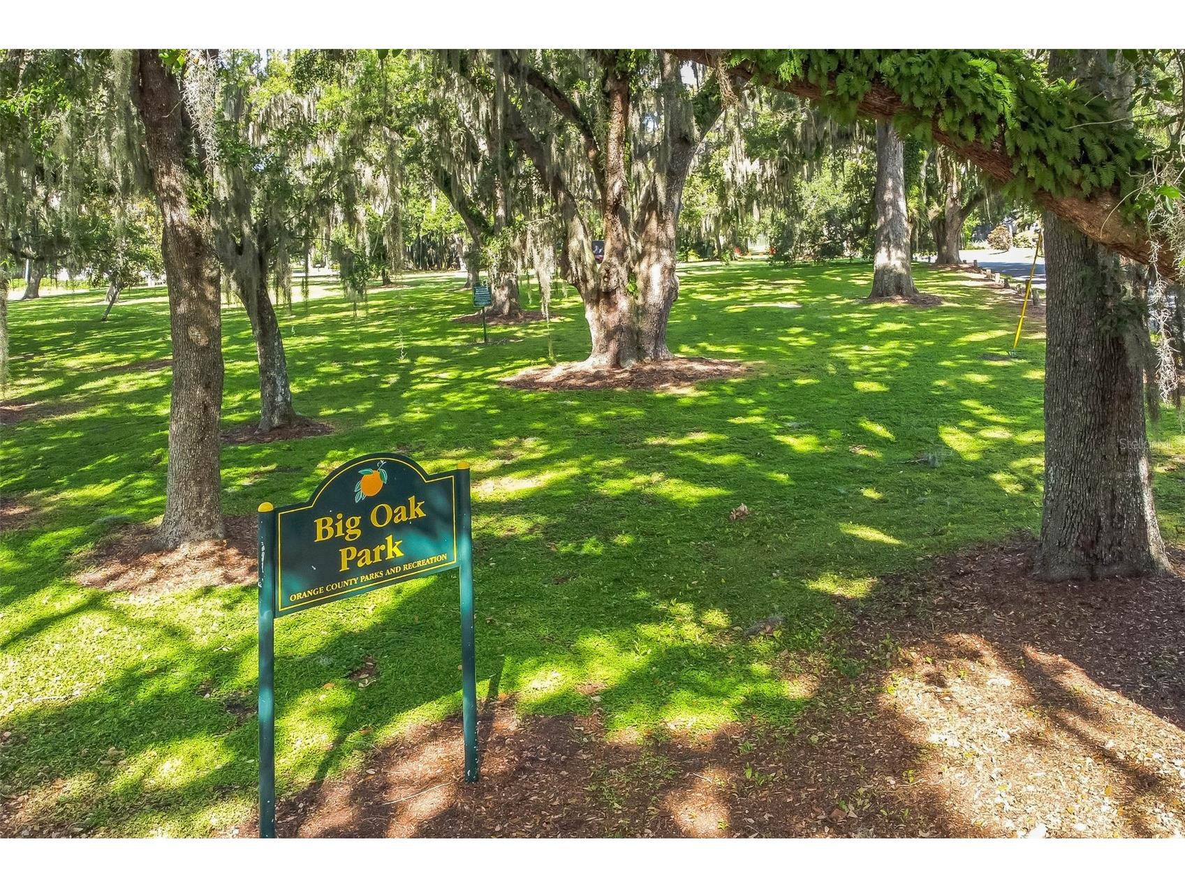 5527 Sandalwood Drive Orlando FL 32839 O6321417 image39