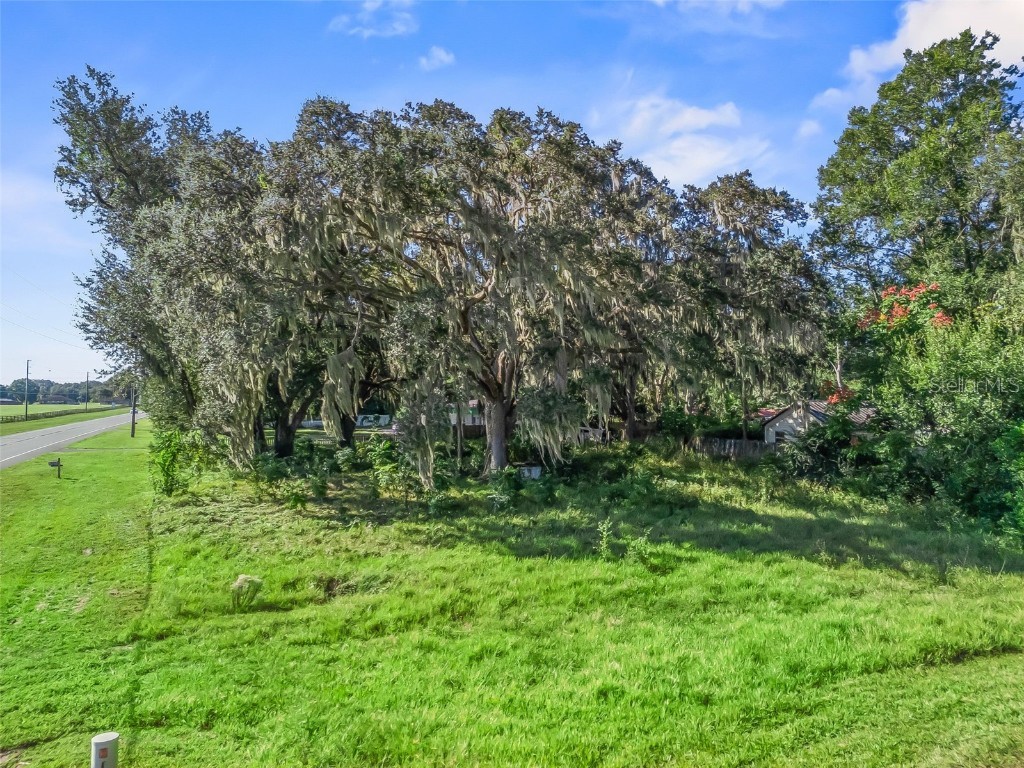 5528 S Us 301 Bushnell FL 33513 G5103448 image4