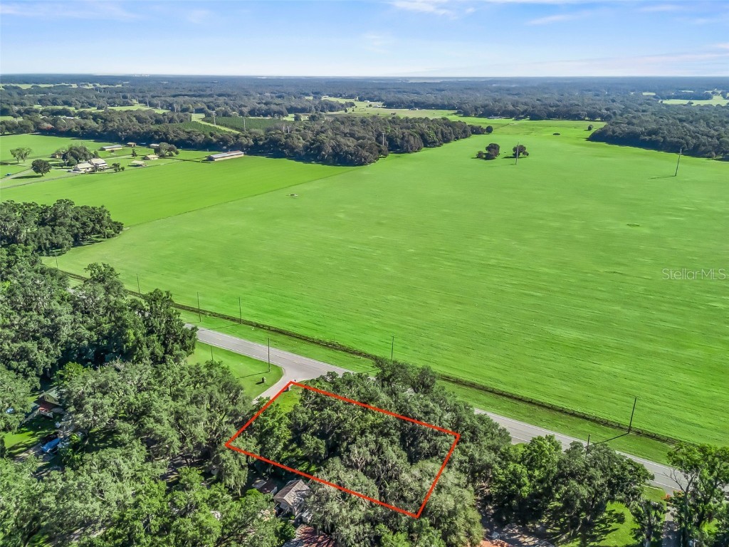 5528 S Us 301 Bushnell FL 33513 G5103448 image7