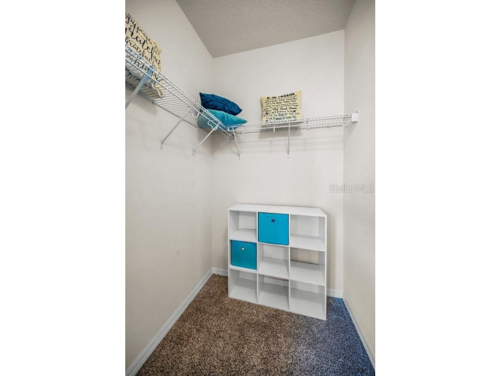 5529 White Marlin Court New Port Richey FL 34652 TB8434965 image32