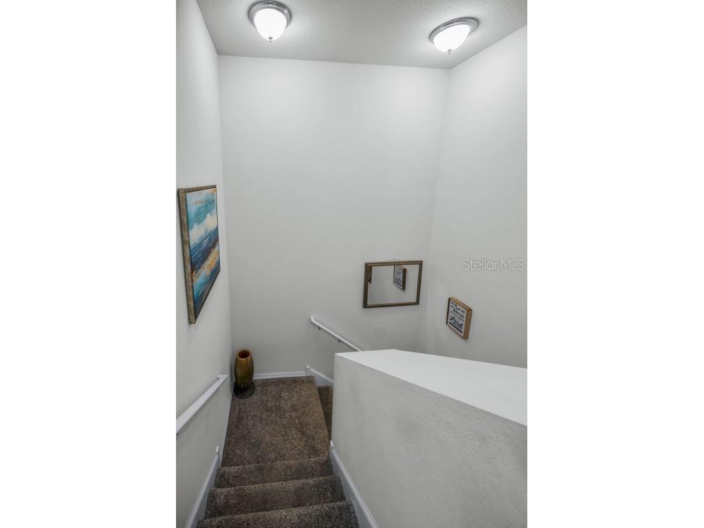 5529 White Marlin Court New Port Richey FL 34652 TB8434965 image35