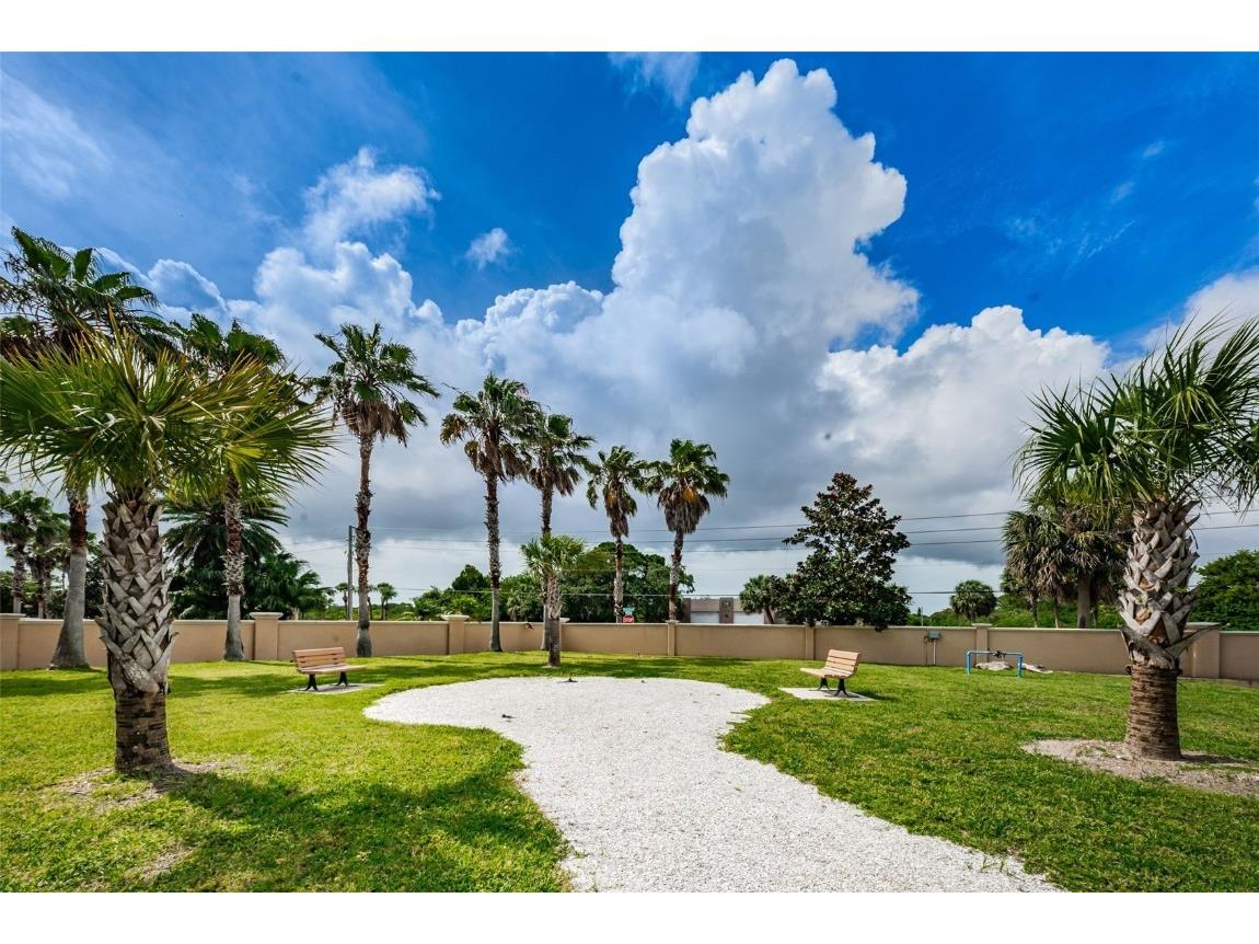 5529 White Marlin Court New Port Richey FL 34652 TB8434965 image50