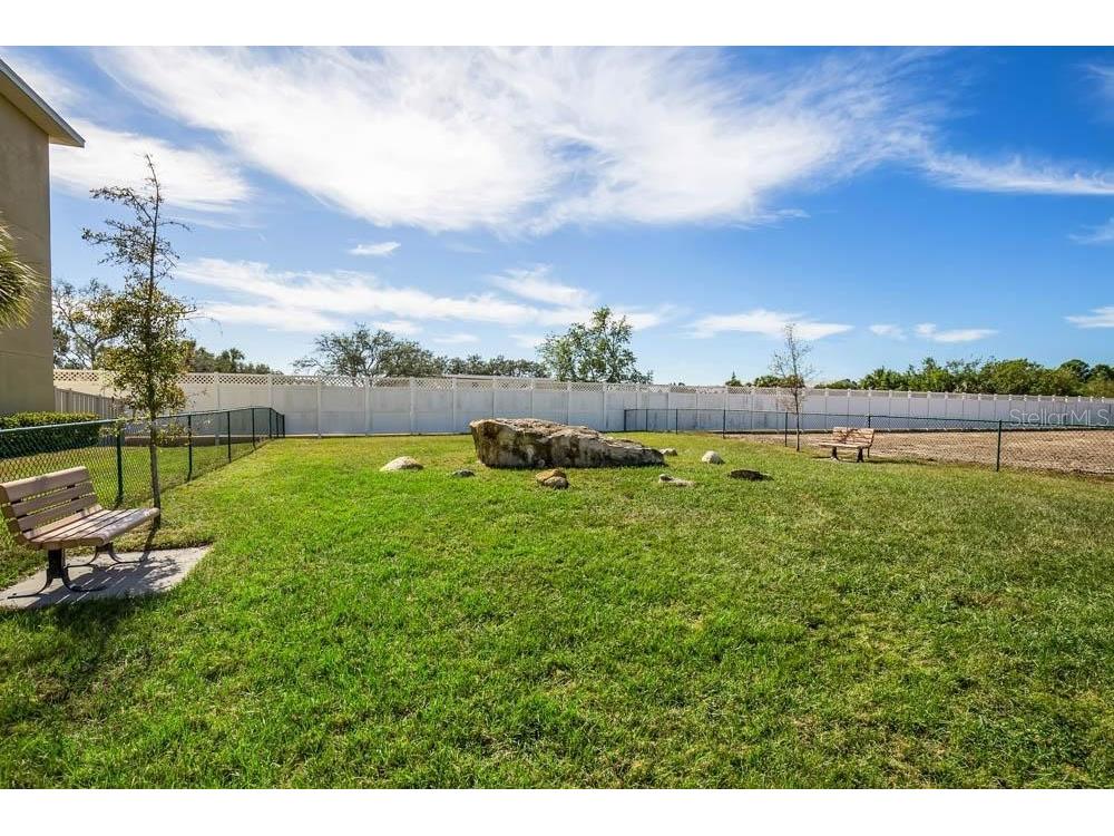 5529 White Marlin Court New Port Richey FL 34652 TB8434965 image53