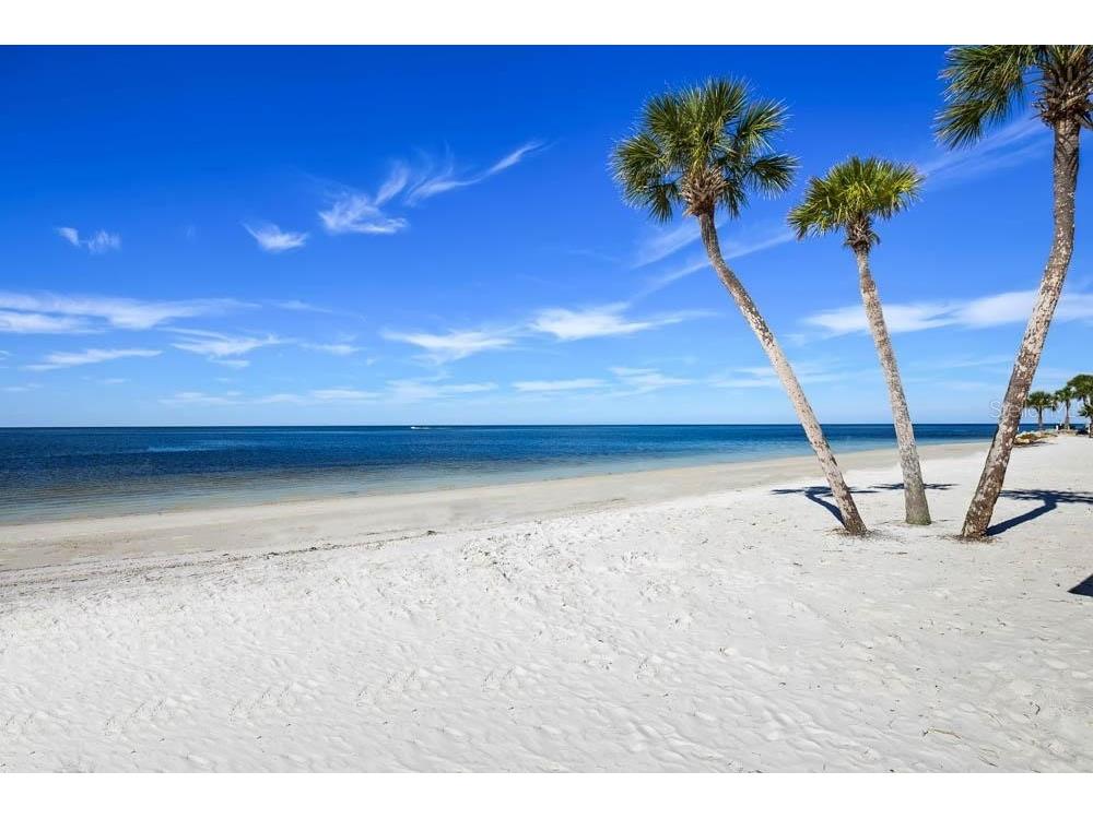 5529 White Marlin Court New Port Richey FL 34652 TB8434965 image58